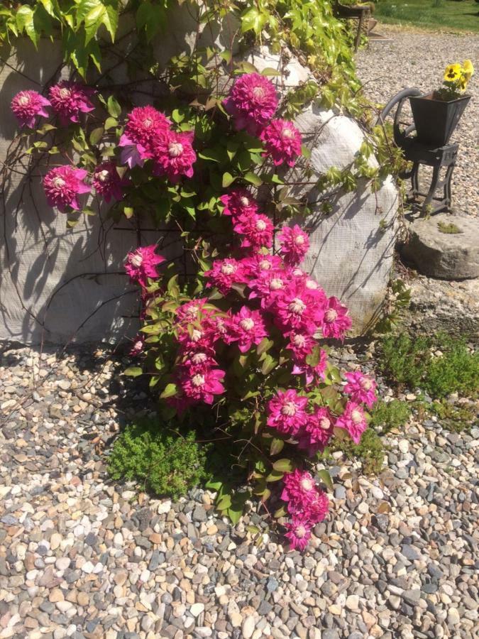 Holiday Home Usedlost Novy Svet Ruzova Luaran gambar